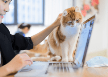 Whisker Wear Clothing Co.