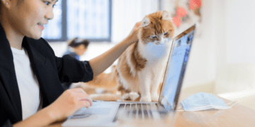 Whisker Wear Clothing Co.