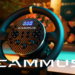CAMMUS - CAMMUS RACING - Sim Racing