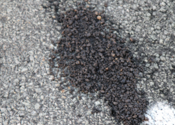 Roads to Renewal | How Halik Ventures is Driving Sustainability Forward