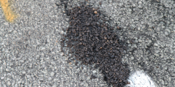 Roads to Renewal | How Halik Ventures is Driving Sustainability Forward