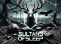 Sultans of Sleep