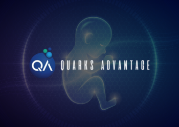 Quarks Advantage