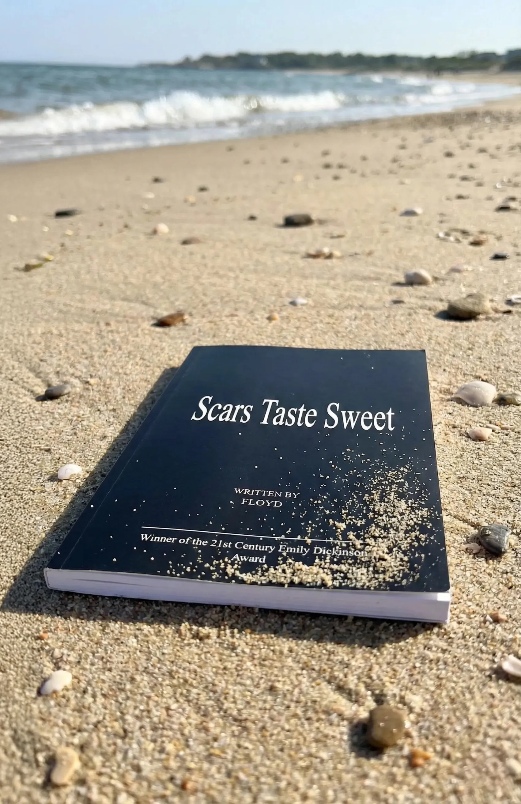 'Scars Taste Sweet' by Justin Floyd